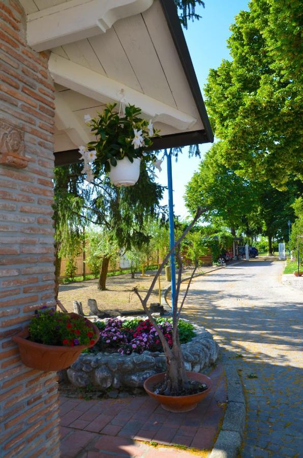 CopparoL'Albero Dei Gufi住宿加早餐旅馆 外观 照片